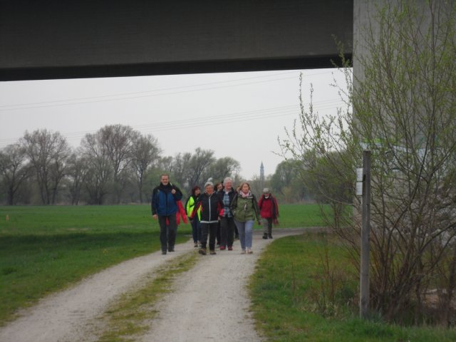 Pilgerweg Bogenberg 2016 12